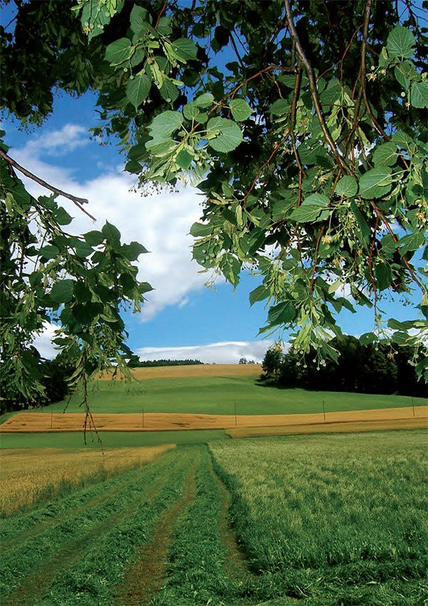 Korporation Beromünster Wohnen