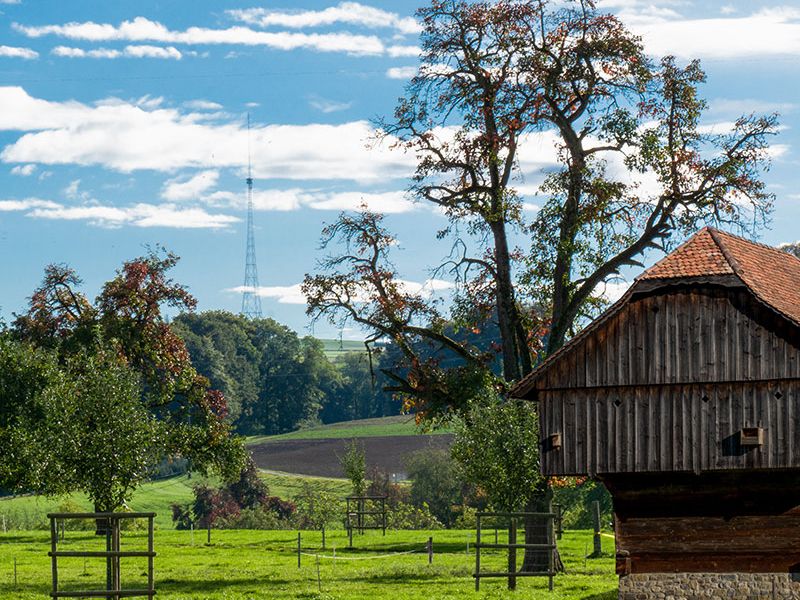 Korporation Beromünster Wiesen